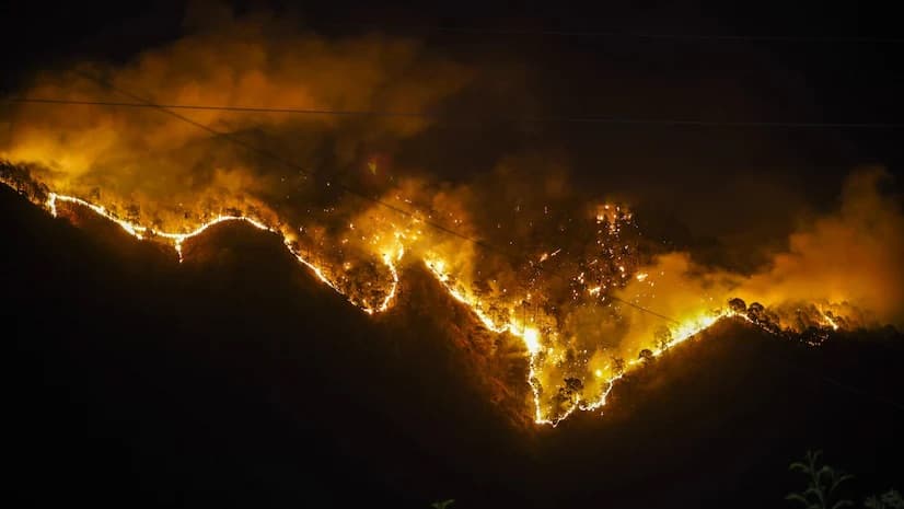LA Fire Emergency Response Image