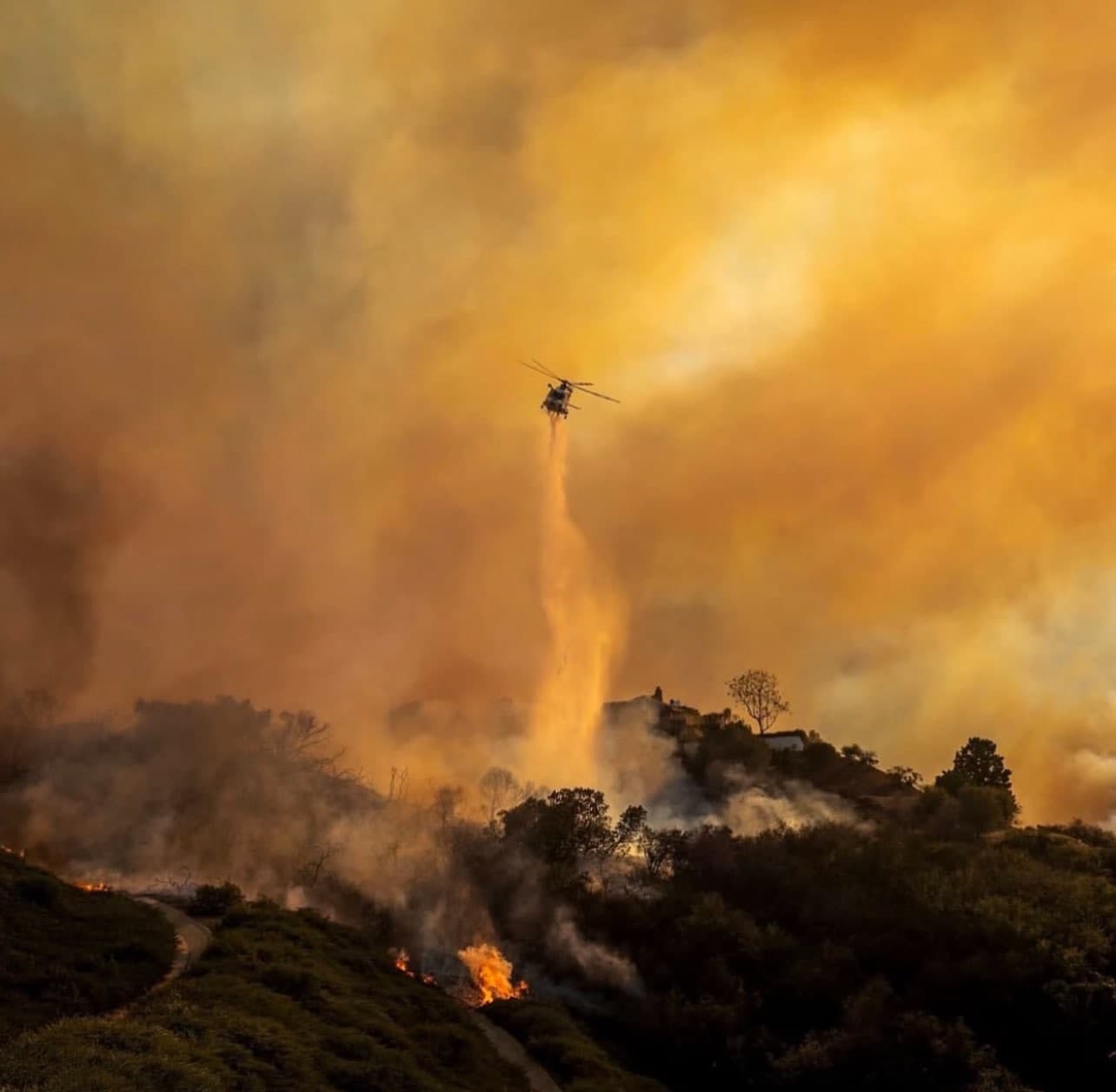 LA Fire Emergency Response Image