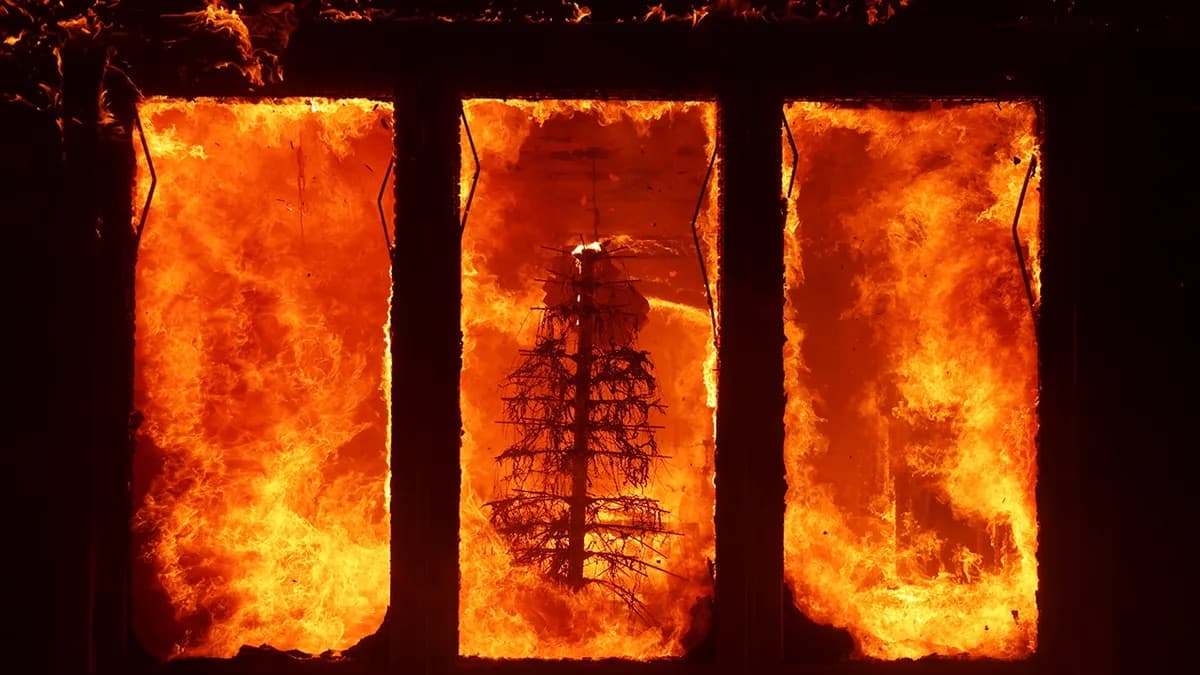LA Fire Emergency Response Image