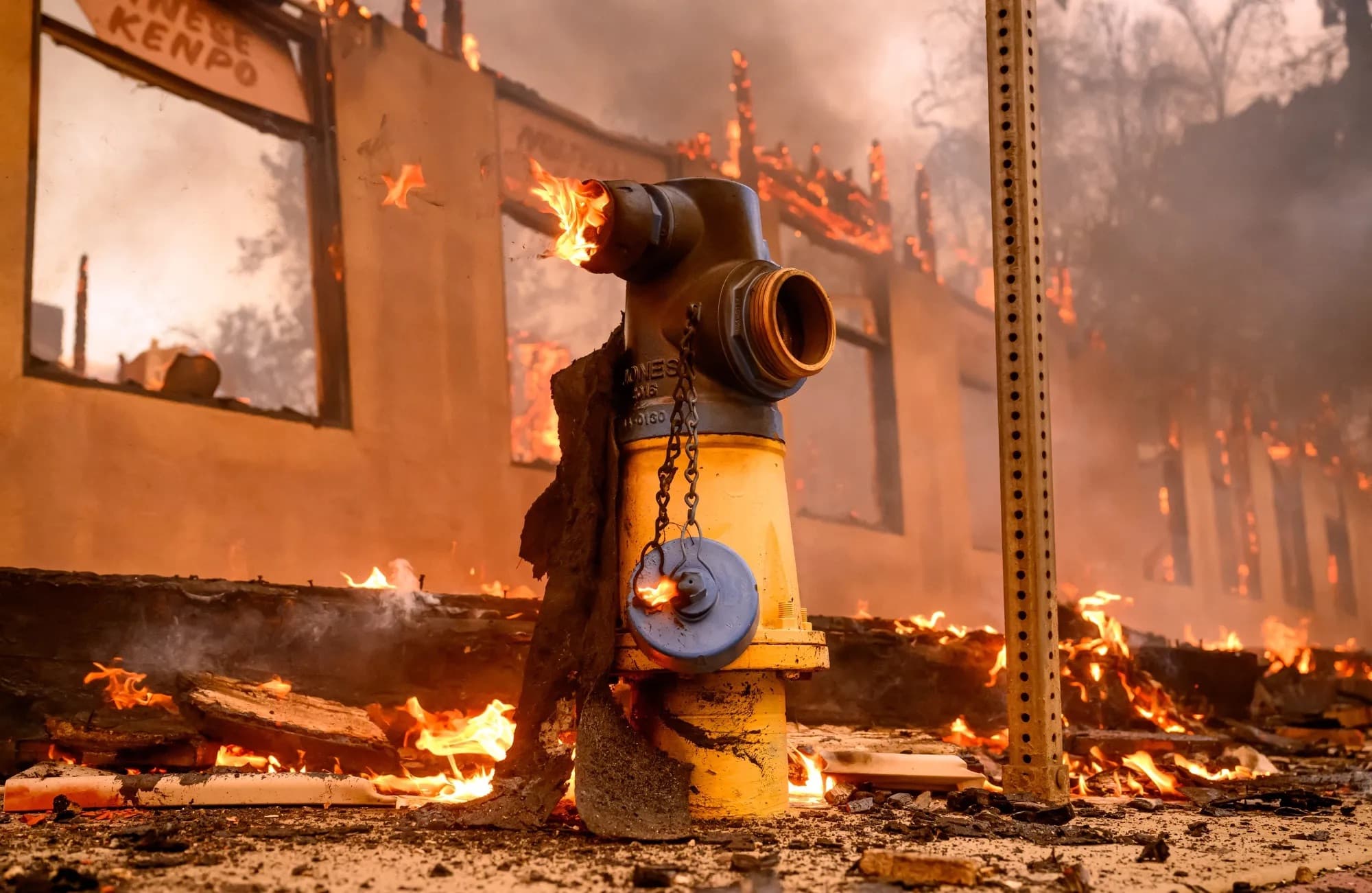 LA Fire Emergency Response Image